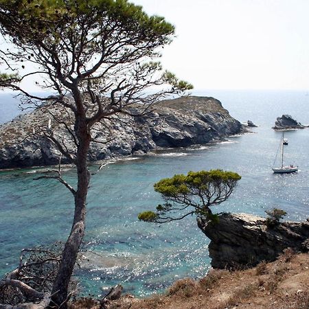 T2 Vue Mer 50M De La Plage A Giens Hyeres Exterior photo